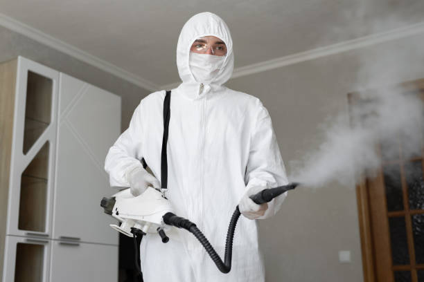 Best Residential Mold Inspection & Testing  in Knob Noster, MO